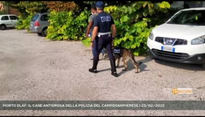 CAMPOSAMPIERO | MORTO OLAF: IL CANE ANTIDROGA DELLA POLIZIA DEL CAMPOSAMPIERESE
