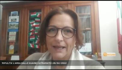 ROSSANO VENETO | 'RIPULITA' L'AREA DALLE GUAINE CATRAMATE
