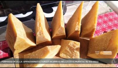 CITTADELLA | FORMAGGI IN VILLA: APPASSIONATI E TURISTI IN ARRIVO NELLA CITTÀ MURATA