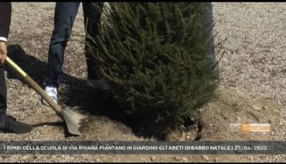 BASSANO DEL GRAPPA | I BIMBI DELLA SCUOLA DI VIA RIVANA PIANTANO IN GIARDINO GLI ABETI DI BABBO NATALE