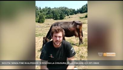ALTOPIANO | SICCITA' SENZA FINE IN ALPEGGIO: SI RISCHIA LA CHIUSURA DELLE MALGHE