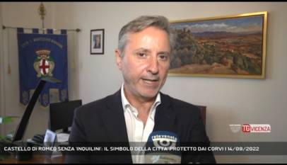 MONTECCHIO MAGGIORE | CASTELLO DI ROMEO SENZA 'INQUILINI': IL SIMBOLO DELLA CITTA' PROTETTO DAI CORVI