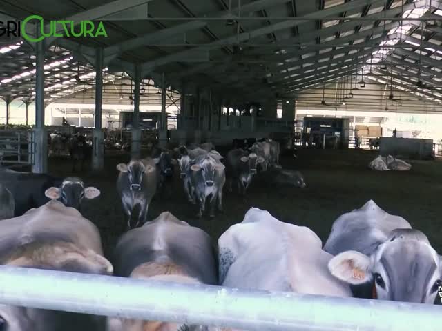 FYHOmyVt4Wg