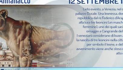 c9055-1PeTA