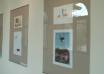 Ert5GUaOWis