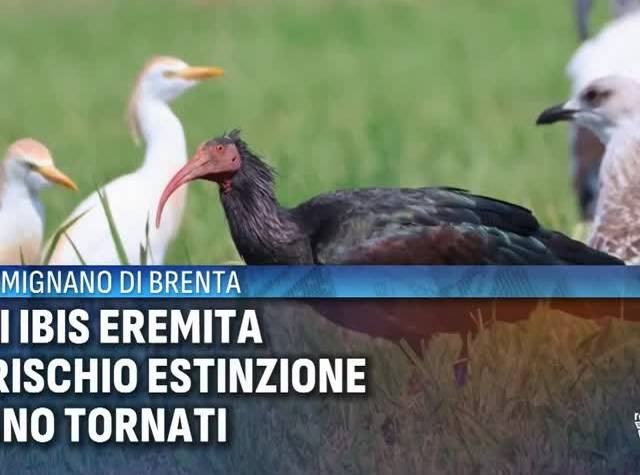 iEr7MUOJ6Tw