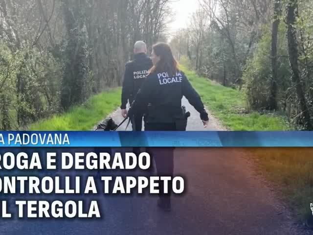 pHjaQ_BZhKM