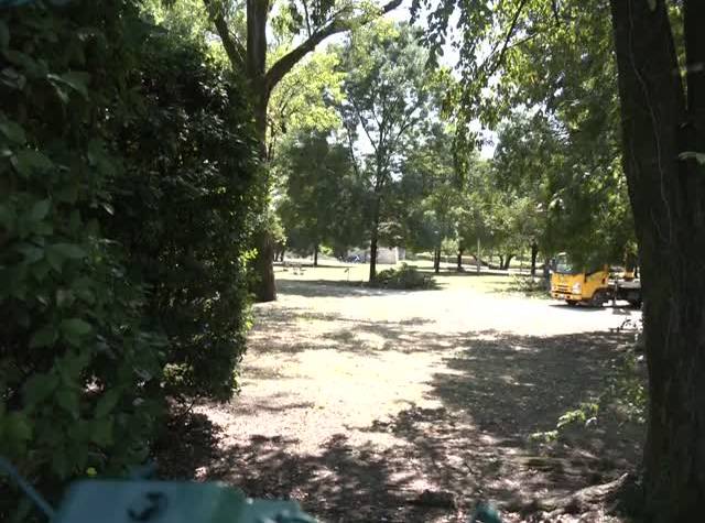 OpCCfGtBcN8