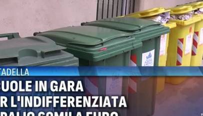 5VjZFalNUfo