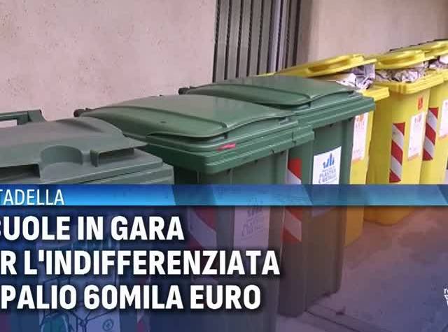 5VjZFalNUfo